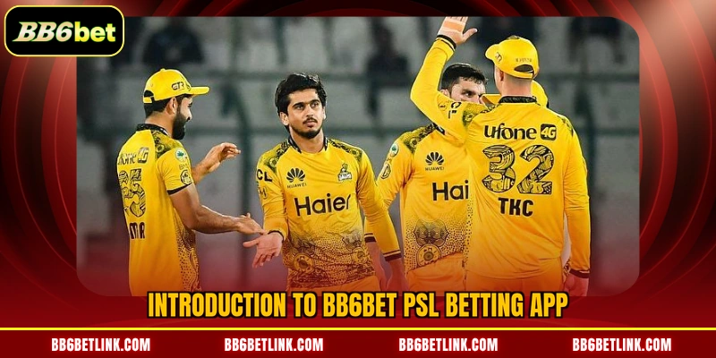 Introduction to BB6bet PSL Betting App