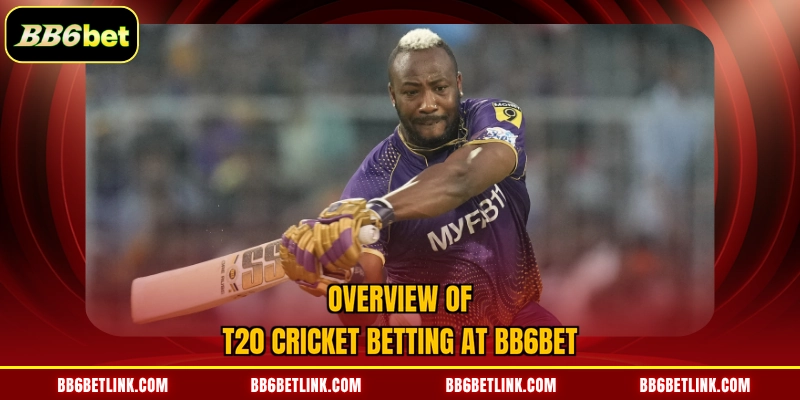 Overview of T20 Cricket Betting at BB6bet
