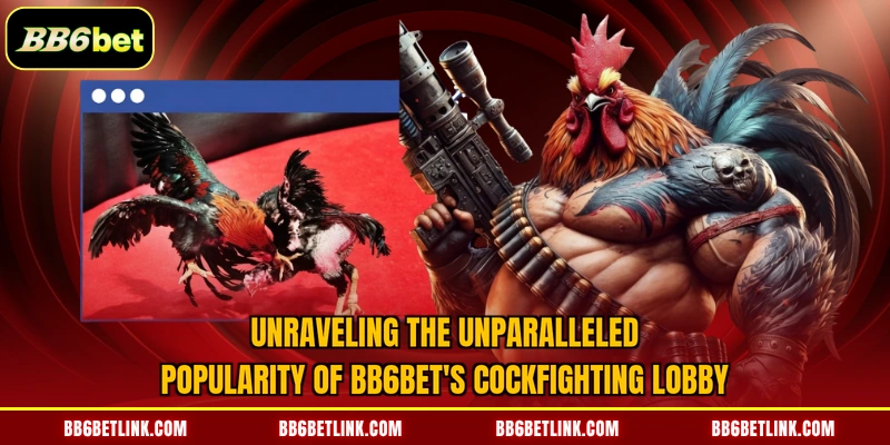 Top-tier Aseel Punjab contests at BB6bet cockfighting
